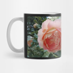 rose in the garden Mug